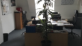 Bürobeispiel