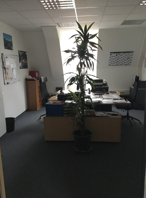 Bürobeispiel